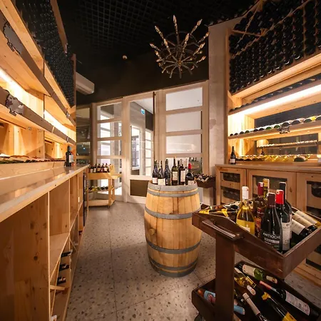 苏拉尔萨雷酒店 锡德