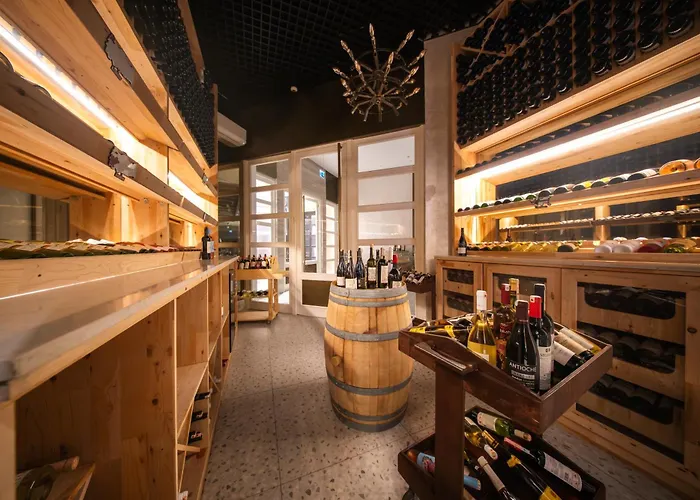 苏拉尔萨雷酒店 锡德